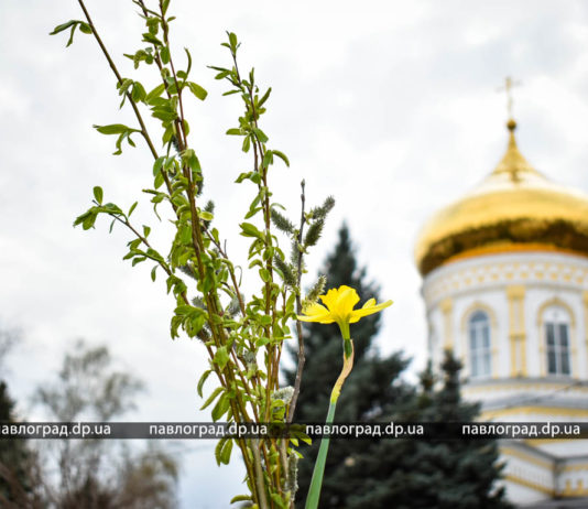 Вербна неділя: у Павлограді віряни несуть вербу до храмів (ФОТО)