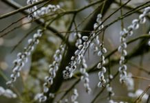 Якою буде погода в Павлограді на цьому тижні?