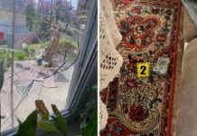 У Павлограді розбійник побив пенсіонерку каменем і погрожував онуку