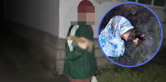 Сусіди кажуть: неадекватний павлоградець вбив собаку