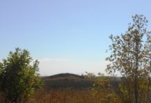 Кургани Павлоградського району внесли до держреєстру