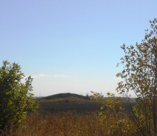 На Павлоградщині тракторист пошкодив кургани