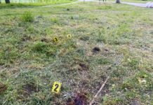 У Павлограді вбили людину в міському парку