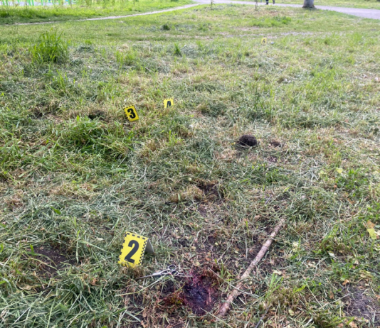 У Павлограді вбили людину в міському парку