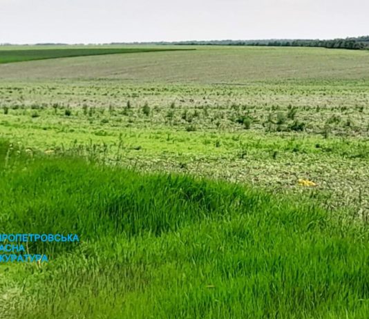 На Дніпропетровщини державі повернуто землі вартістю понад 12 млн грн