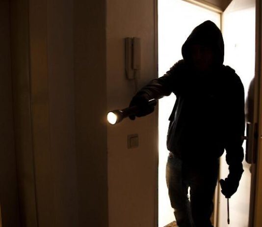 У Павлограді затримали серійного крадія