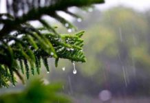 На Павлоградщині очікується зміна погоди