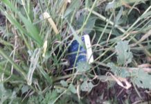 У Павлограді двоє напали на перехожого