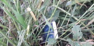 У Павлограді двоє напали на перехожого