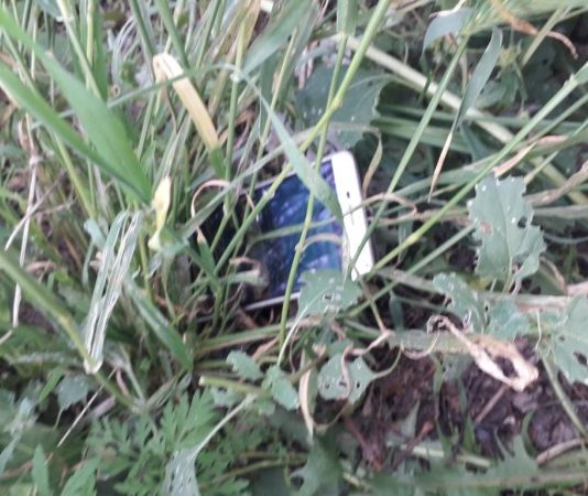 У Павлограді двоє напали на перехожого