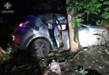 На Павлоградщині автівка з 17-річним водієм врізалася в дерево