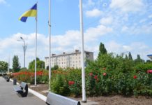 У Тернівці наклали штрафи за крадіжку квітів на клумбах