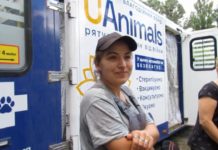 У Павлограді благодійники стерилізували тварин безкоштовно