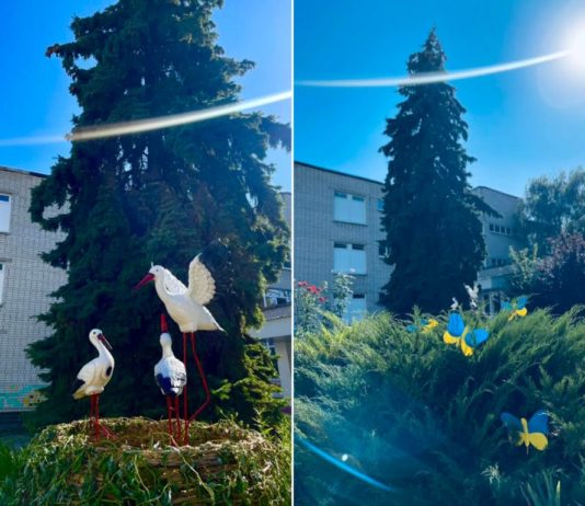 На подвір’ї павлоградського ліцею «оселилися» лелеки