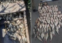 У Вербках спіймали рибалку-браконьєра