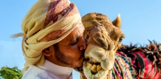 У Павлограді прогнозують спеку і вітер