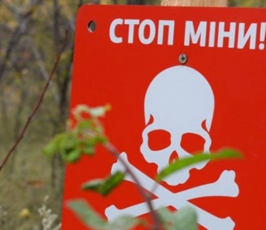 В школах запровадять новий обов’язковий курс