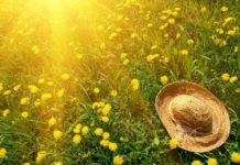 Якою буде погода в Павлограді на цьому тижні?