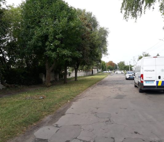 Тіло лежало в кущах: на Дніпропетровщині знайшли мертвою 16-річну дівчину