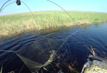 Мешканець Павлоградщини оштрафований за вилов риби