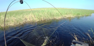 Мешканець Павлоградщини оштрафований за вилов риби