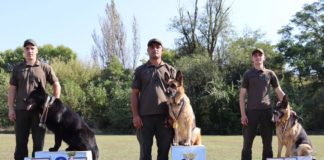 Павлоградські кінологи-гвардійці — найкращі