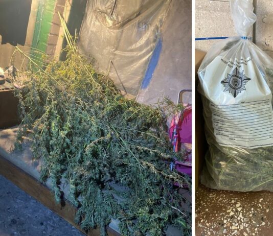 У Павлограді у кривдника знайшли незаконний «гербарій»