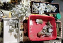 У мешканця Павлоградщини вилучили чималу партію наркотиків