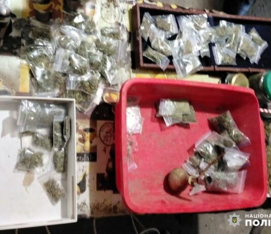 У мешканця Павлоградщини вилучили чималу партію наркотиків