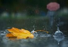 У Павлограді сьогодні зміниться погода