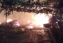 На Павлоградщині сталася пожежа у приватному дворі (ВІДЕО)