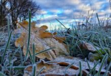 Коли у Павлограді чекати першого снігу? Прогнози синоптиків