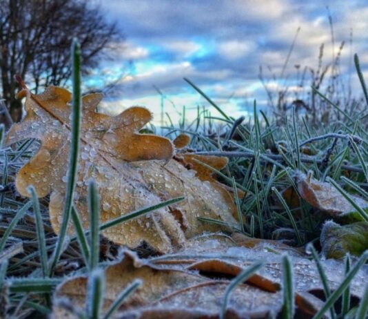 Коли у Павлограді чекати першого снігу? Прогнози синоптиків
