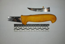 Моторошне вбивство у Першотравенську: 30 ударів ножем