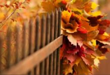 Якою буде погода у Павлограді на цьому тижні?