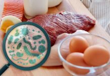 На Дніпропетровщині зафіксували сальмонельоз у закладі харчування