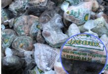 У Павлограді на смітник викинули десятки хлібин