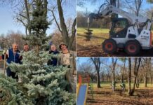 В одному з парків Павлограда висадили нові дерева (ВІДЕО)