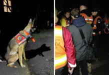 До глибокої ночі вчора у Павлограді шукали 10-річну дитину