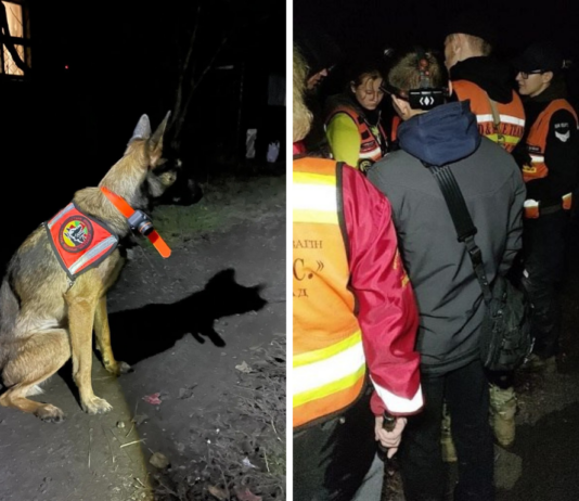 До глибокої ночі вчора у Павлограді шукали 10-річну дитину