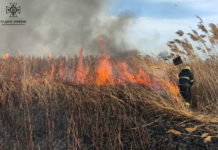 У Павлограді була масштабна пожежа