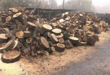 Розмір субсидії на дрова виросте у двічі