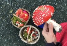 На Павлоградщині чоловік пив отруйний чай для потенції