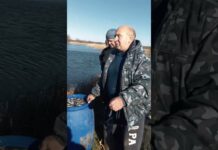 За кошти рибалок і мисливців Павлограда зарибили річку