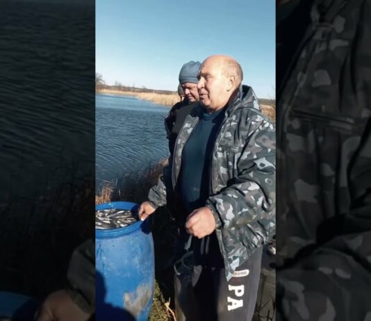 За кошти рибалок і мисливців Павлограда зарибили річку