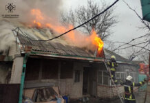 На Павлоградщині в селі сталася пожежа