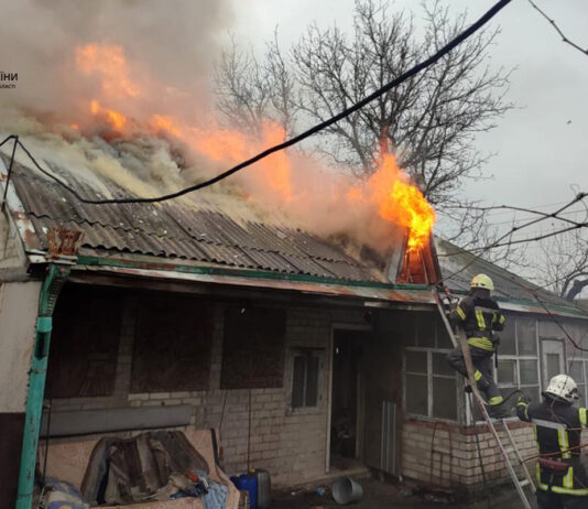На Павлоградщині в селі сталася пожежа