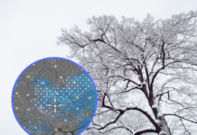 Якою буде погода у Павлограді на цьому тижні?