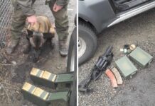 У Павлограді на блокпості собака виявив зброю