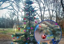 На одному з районів Павлограда мешканці самі прикрасили ялинку (ВІДЕО)